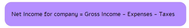 net income for company